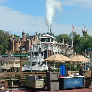 Put Some Disney Magic in your Organization